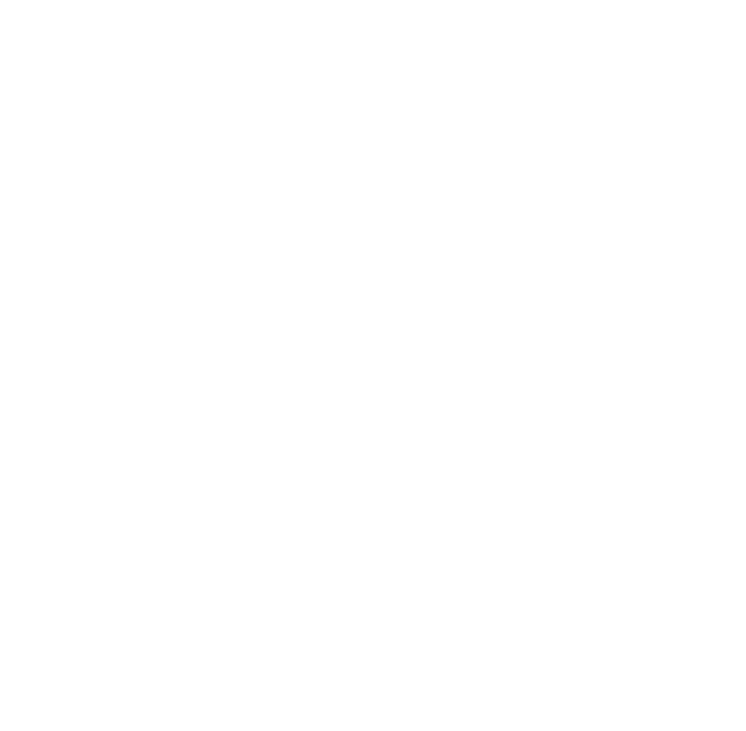 Media Guys